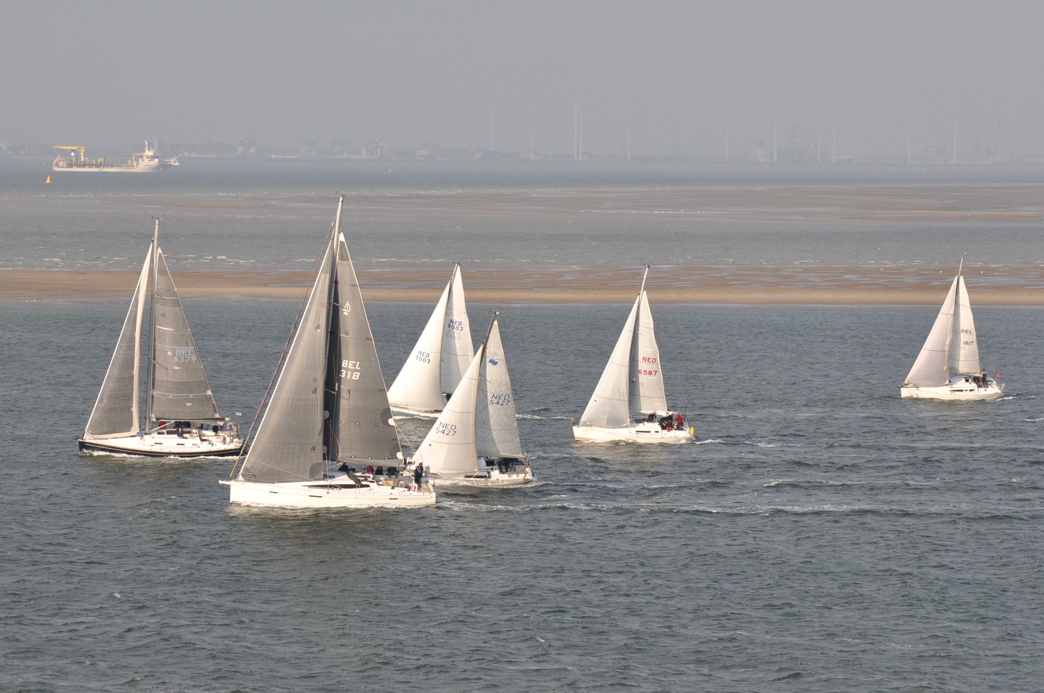 DSC_0514
